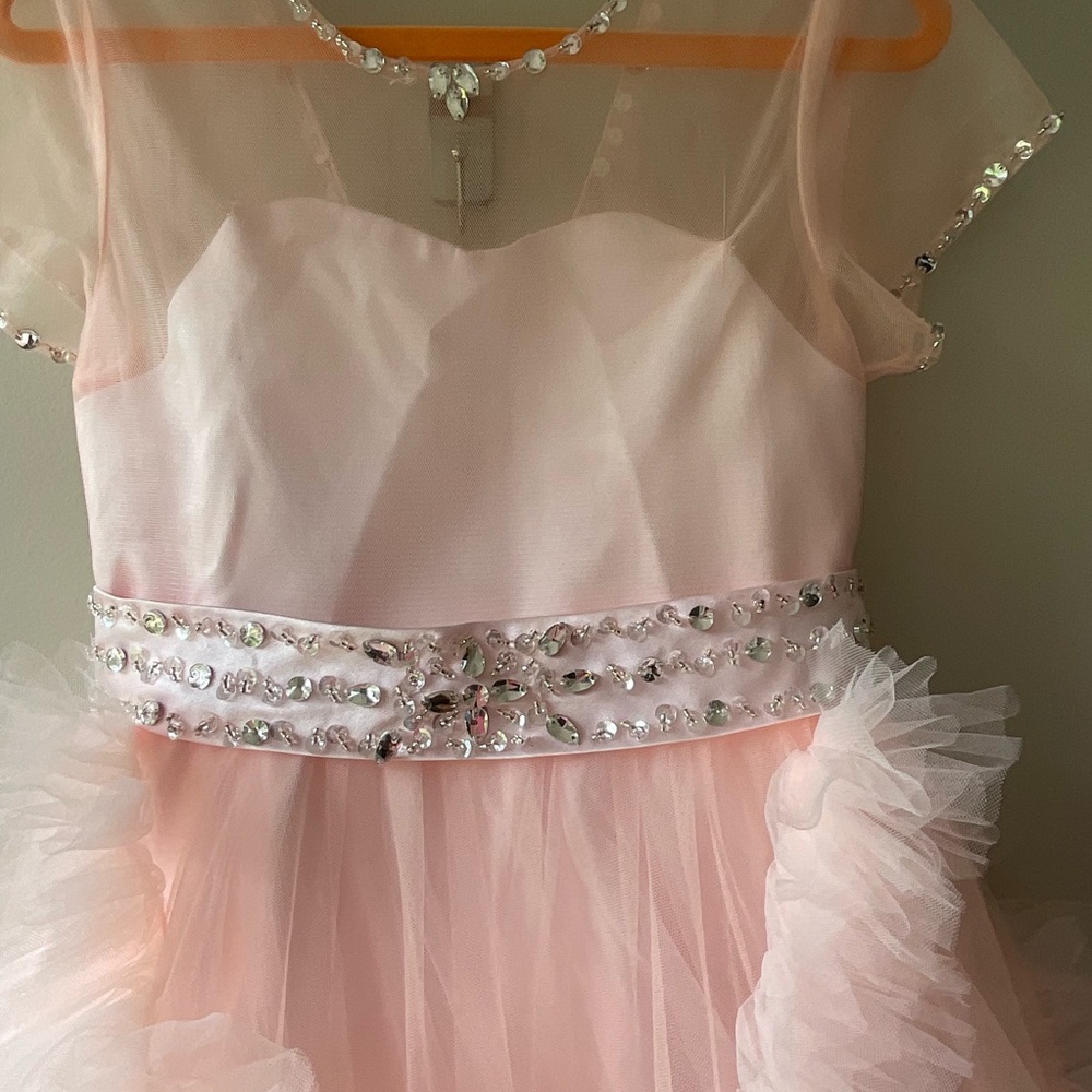 Pink Ruffled Gown with Flutter Sleeves - Picture 4 of 15